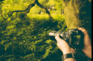 Fotografia de Natureza: Capturando a Beleza do Mundo Natural 39 fotografia mde natureza
