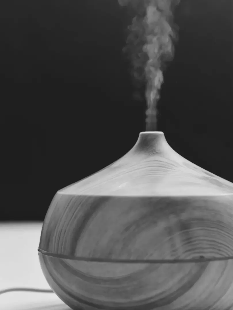 Os difusores de aromas são mais do que simples acessórios decorativos