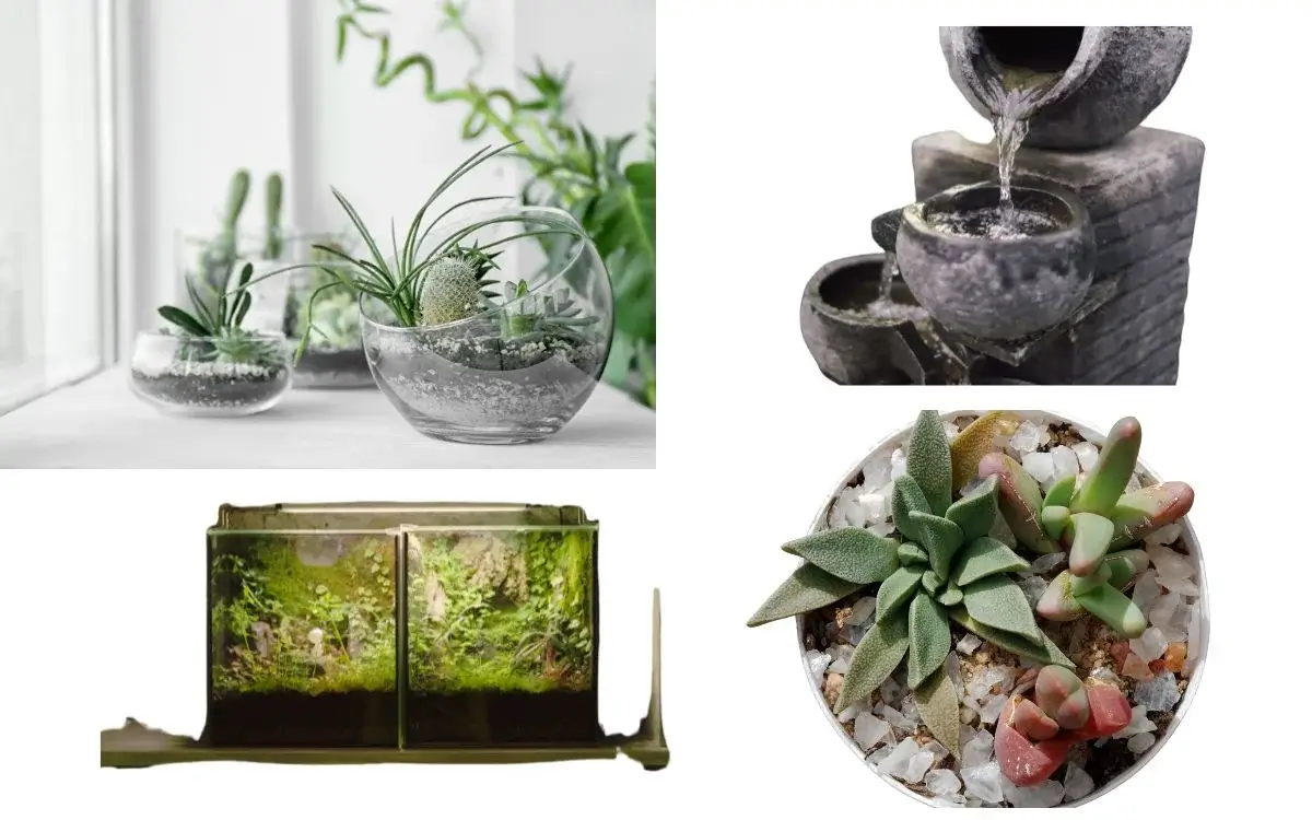 Desvendando a jardinagem criativa