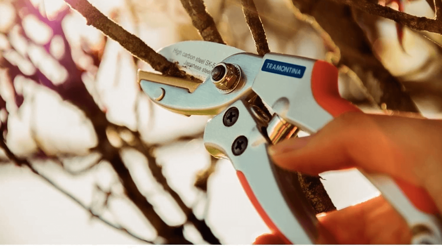 Tramontina Tesoura de Poda Profissional Tipo Anvil em Aço com Cabo Emborrachado, Multicolorido
