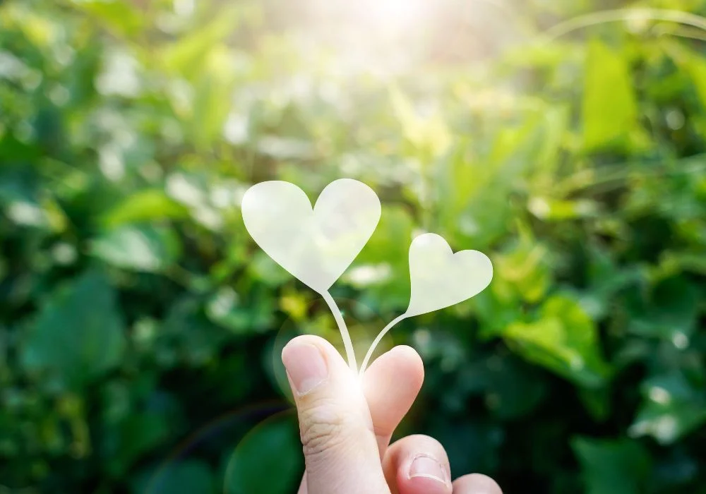 dicas para melhorar o bem estar no cotidiano